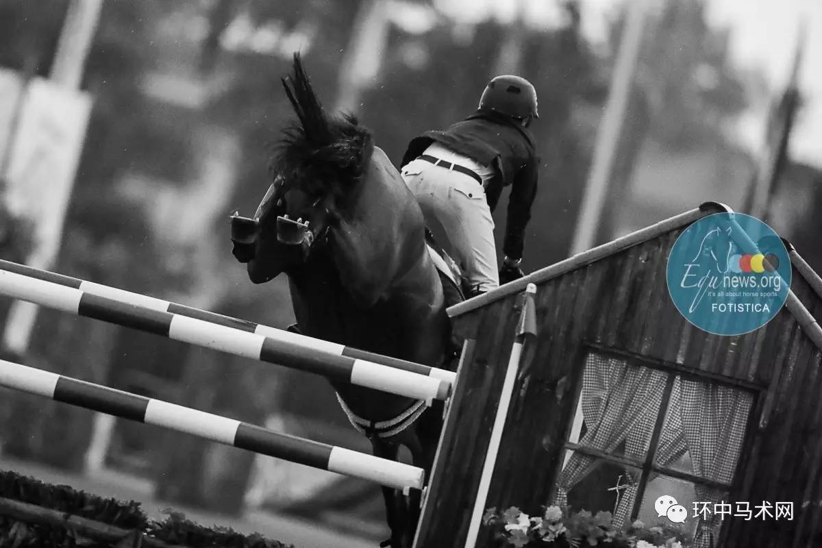 爱尔兰魂梦翱翔：欧锦赛冠绝一切