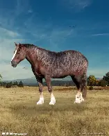 包含马拉加客场大胜塞尔塔，取得激动人心胜利的词条