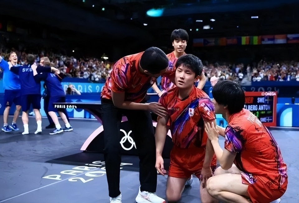 法国队力克瑞典队，张本智和带队取胜的简单介绍