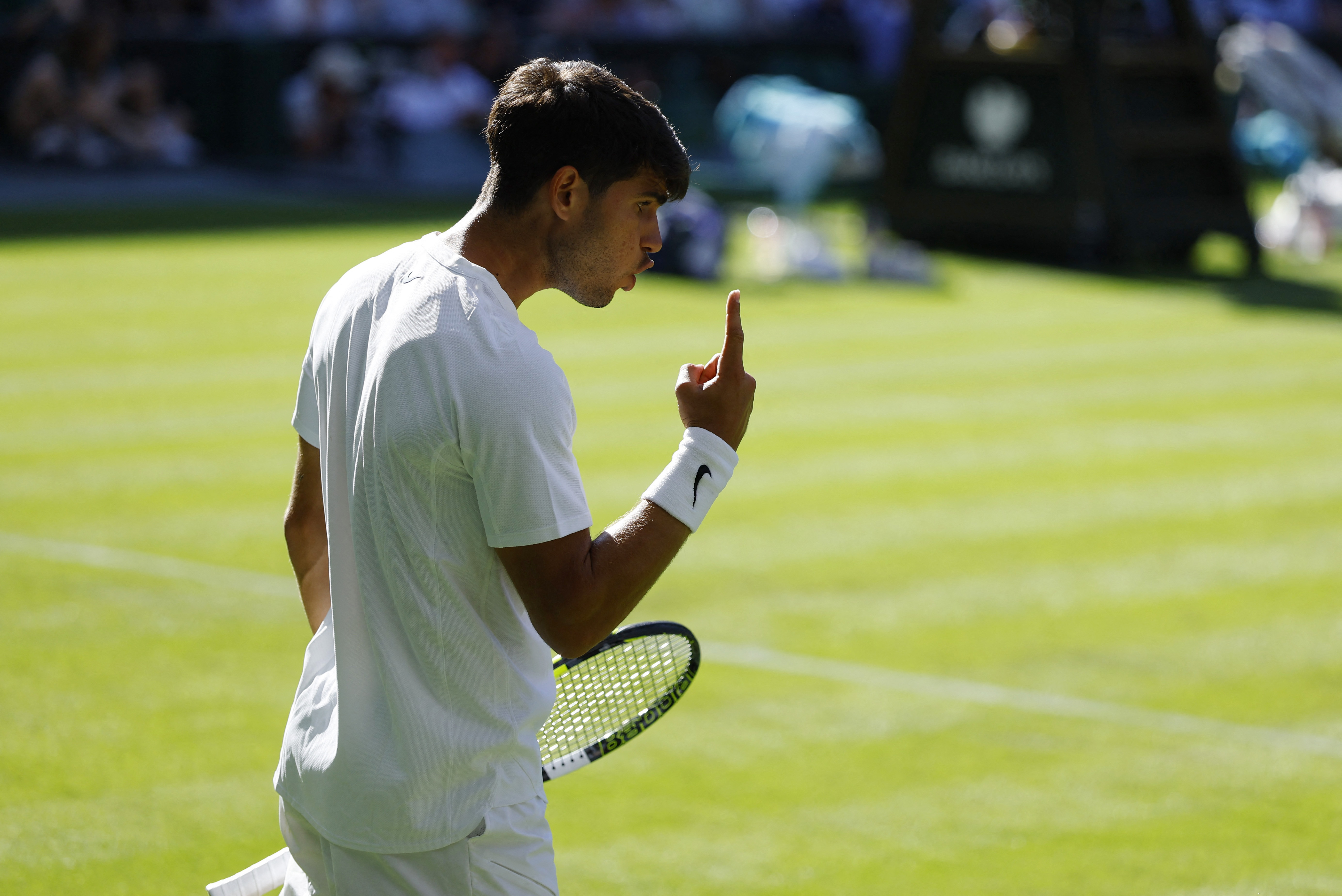 温网逆转澳网，阿尔卡拉斯点燃赛场的简单介绍