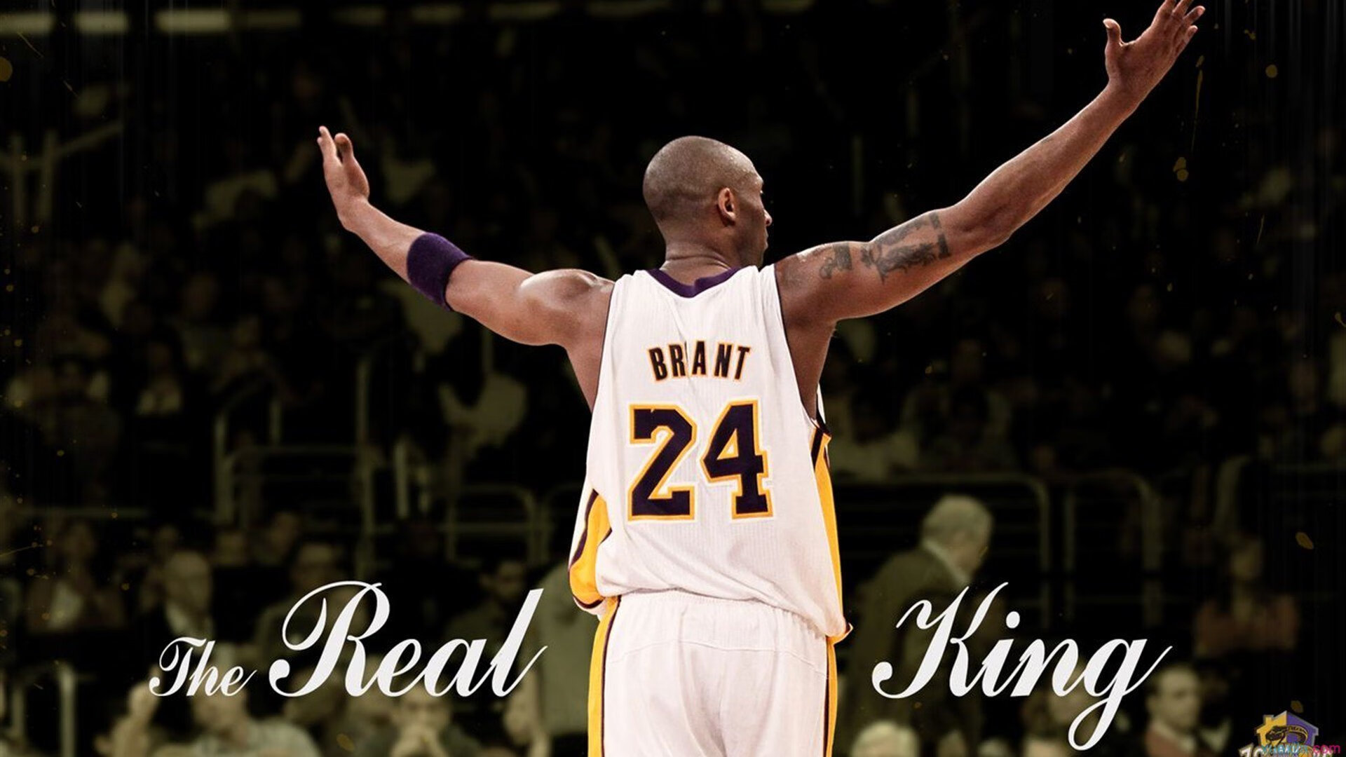 布克跨域焦点战,快船雄鹿对决中的第三者证明