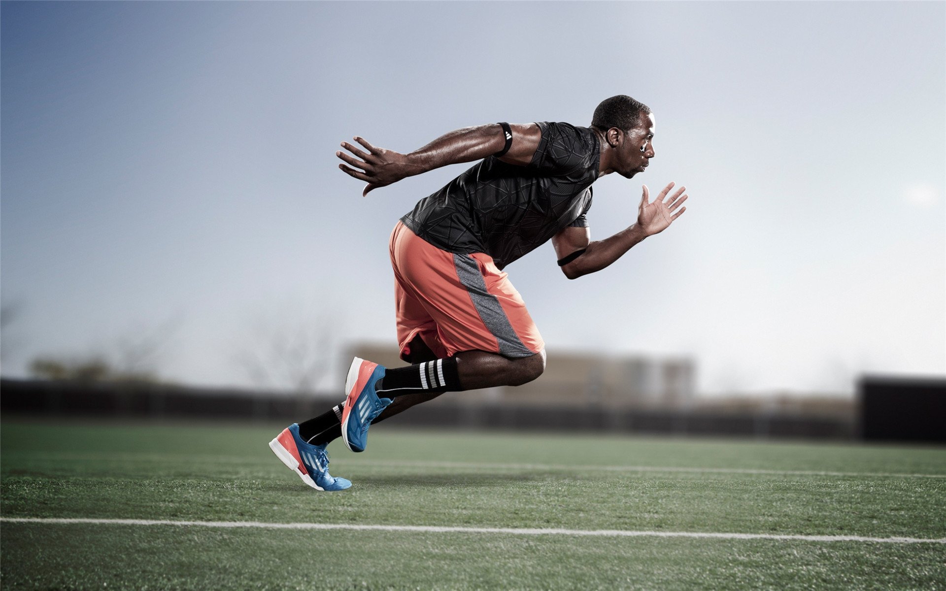 黄蜂碾压猛龙,武切维奇成为关键先生